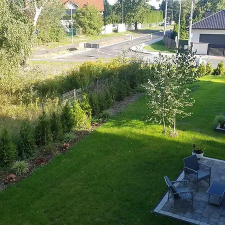 Zielone Marzenie