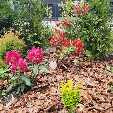 Zielone Marzenie Lägenhet